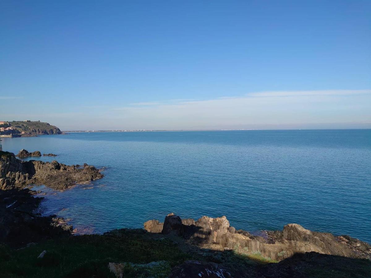4Rb4 Appartement Type T2 Bord De Mer Acces Plage Direct Collioure Eksteriør billede