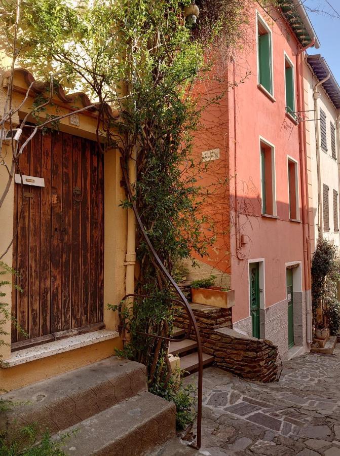 4Rb4 Appartement Type T2 Bord De Mer Acces Plage Direct Collioure Eksteriør billede