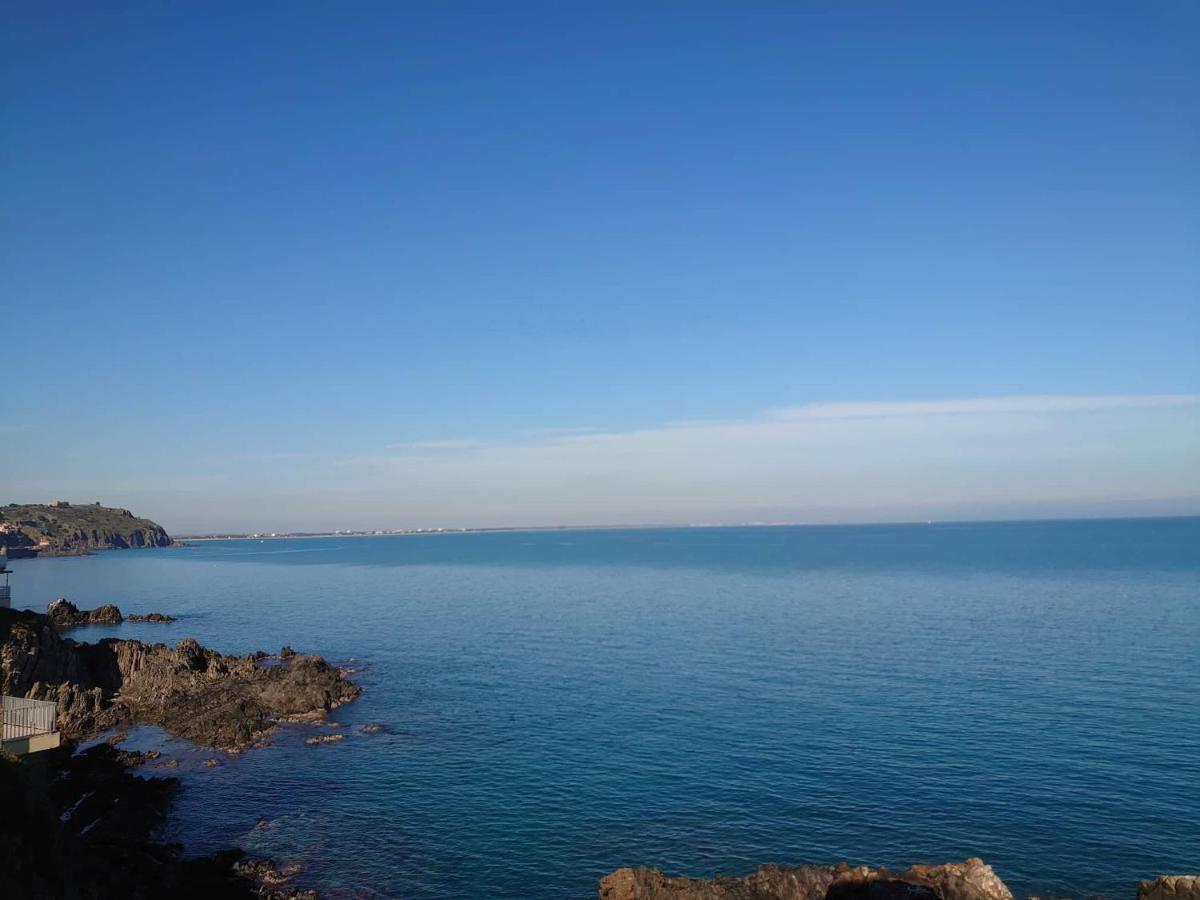 4Rb4 Appartement Type T2 Bord De Mer Acces Plage Direct Collioure Eksteriør billede